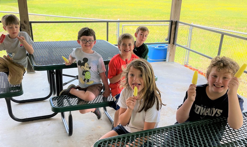 News Alma Primary School